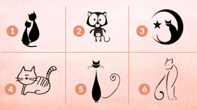 Illustration : Test de personnalité : choisissez un chat pour découvrir si vous avez une bonne intuition