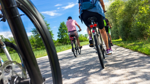 Illustration : "Vélos : la plaque d’immatriculation obligatoire, c’est pour bientôt !"