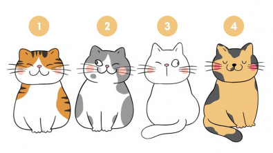 Illustration : Test de personnalité : le chat que vous choisissez reflète votre objectif de vie