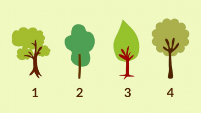 Illustration : Test de personnalité : choisissez un arbre pour découvrir à quel point vous avez confiance en vous