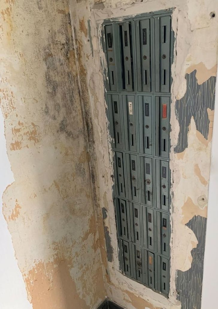 Illustration de l'article : Ces 19 découvertes insolites en tout genre