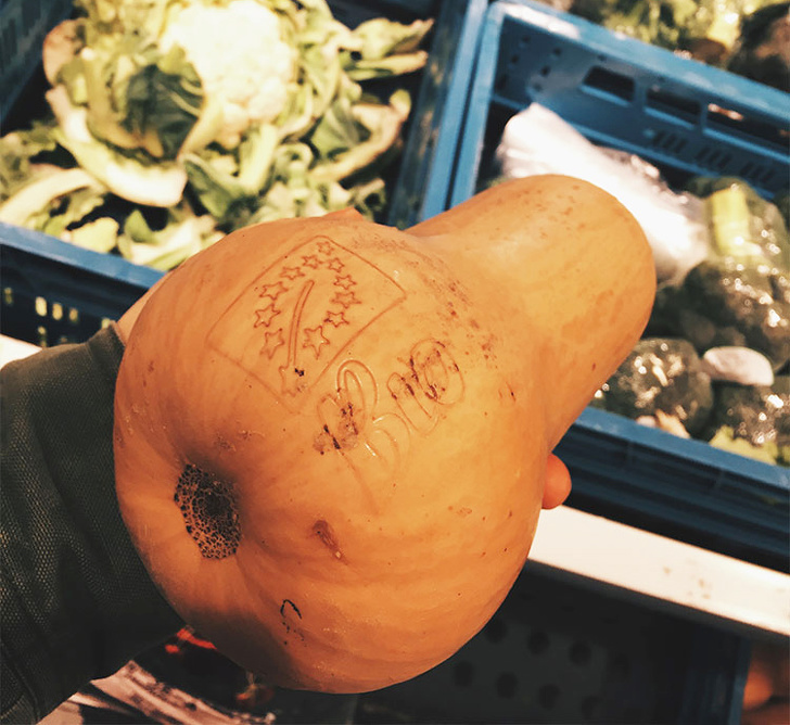 Illustration de l'article : Ces 26 gestes à imiter pour préserver plus longtemps la Terre