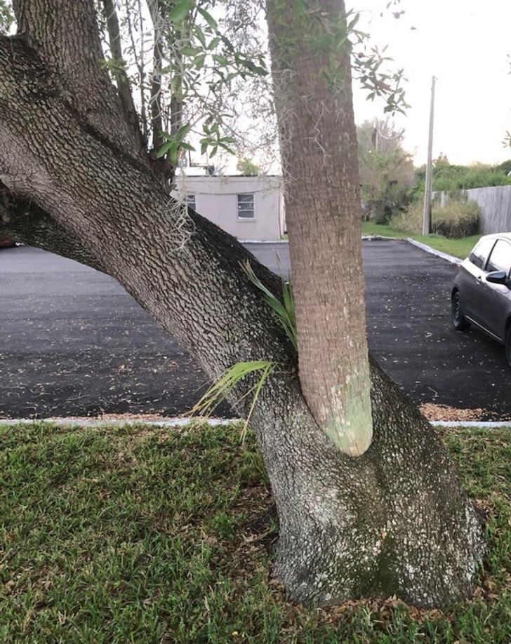 Illustration de l'article : Ces 19 découvertes insolites en tout genre