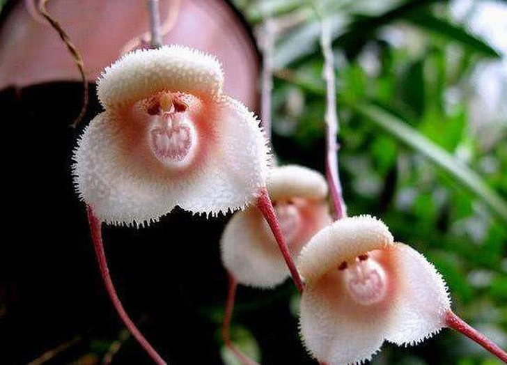 Illustration de l'article : Ces 20 photos qui montrent que la nature peut aussi plaisanter