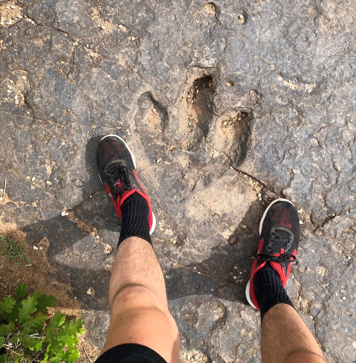 Illustration de l'article : Ces 26 photos qu'il n'était pas possible de prendre autrefois