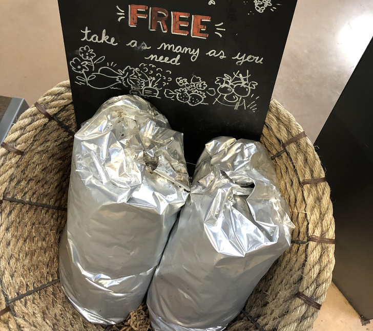 Illustration de l'article : Ces 26 gestes à imiter pour préserver plus longtemps la Terre