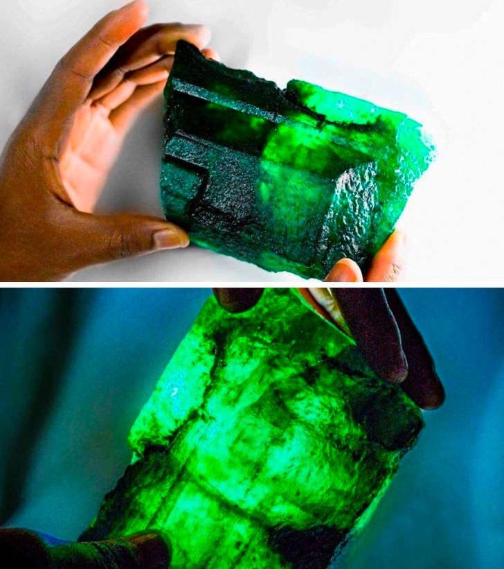 Illustration de l'article : Ces 26 photos qu'il n'était pas possible de prendre autrefois