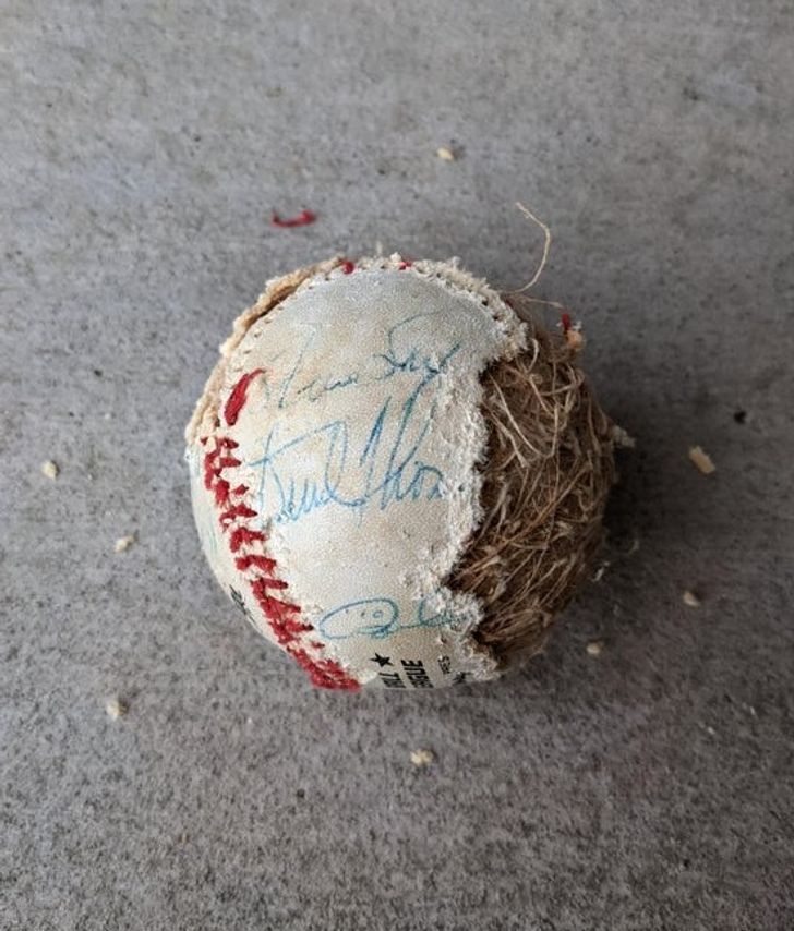 Illustration de l'article : Ces 19 découvertes insolites en tout genre