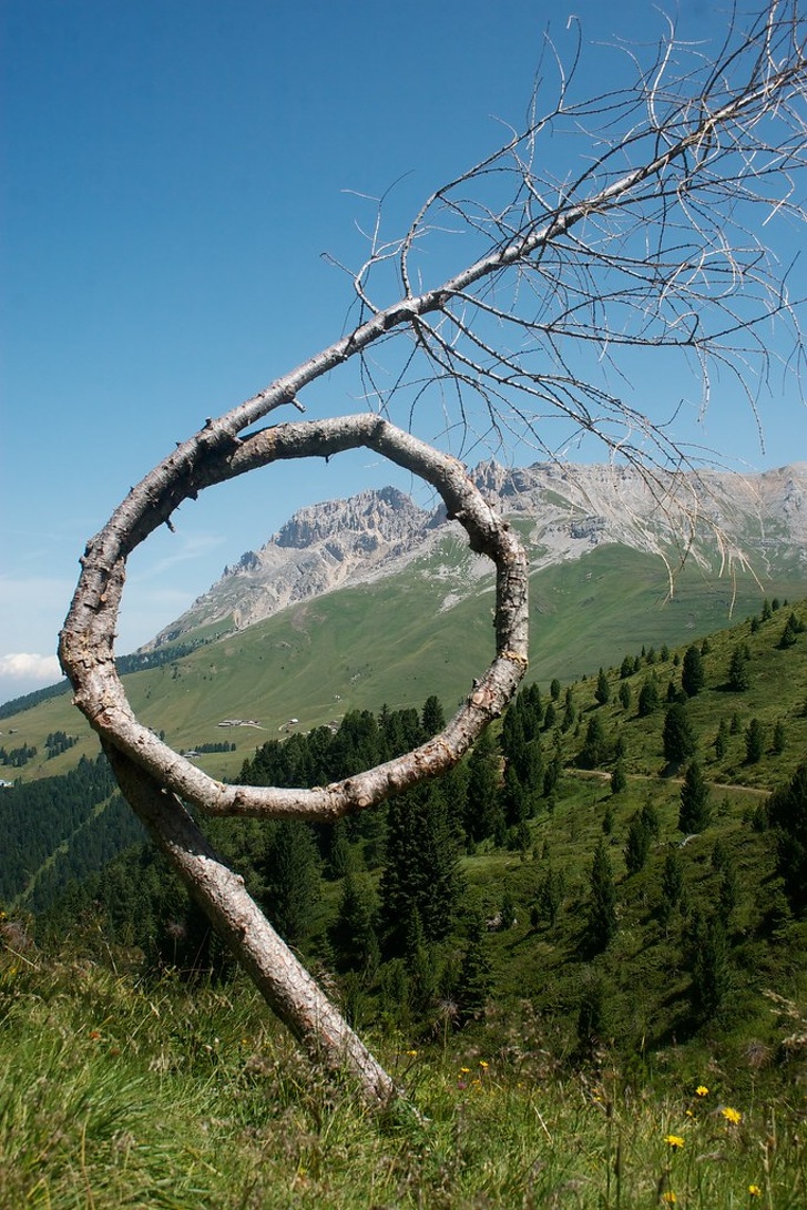 Illustration de l'article : Ces 20 photos qui montrent que la nature peut aussi plaisanter