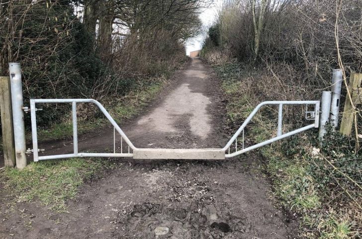 Illustration de l'article : Ces 19 découvertes insolites en tout genre